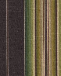 Stripe 280 Raisin by  Kasmir 