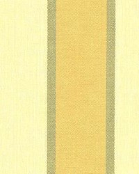 Stripe 445 Sunflower by  Kasmir 