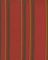 Stripe 475 Cinnamon by  Kasmir 