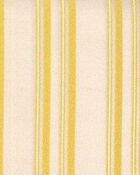 Stripe 475 Wheat by  Kasmir 