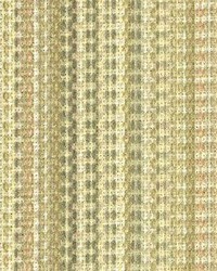 Stripe 590 Sage by  Kasmir 