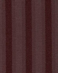 Stripe 600 Walnut by  Kasmir 
