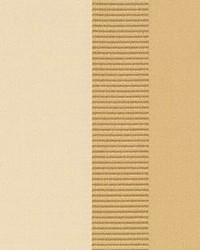 Stripe 630 Biscuit by  Kasmir 