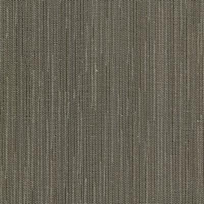 Kasmir Sublime Amaretto in Window Dressing Sheer Polyester Fire Rated Fabric NFPA 701 Flame Retardant  Solid Sheer  Solid Beige   Fabric