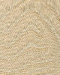 Sunlight Ginger by  Kasmir 