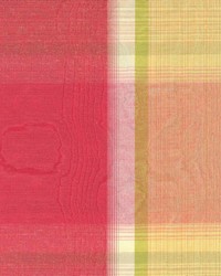 Tarver Rouge by  Kasmir 