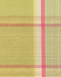 Tarver Spring by  Kasmir 