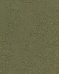 Tatum Bottle by  Kasmir 