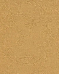 Tatum Gold by  Kasmir 