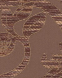 Tealwood Latte by  Kasmir 