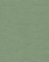 Telemark Willow by  Kasmir 