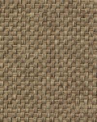 Thatcher Texture Taupe by   