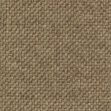 Kasmir Thatcher Texture Taupe in New Attitudes, Volume 1 Brown Multipurpose Polyester Weave  Solid Brown   Fabric