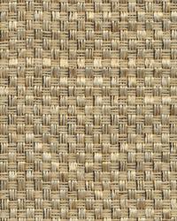 Thatcher Texture Wheat by   