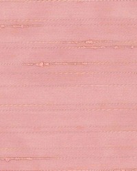 Thunder Woodrose by  Kasmir 