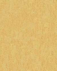 Timothy Brass by  Kasmir 