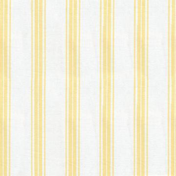 Kasmir Tipler Stripe Buttercup in Favorite Things, Volume 2 Yellow Multipurpose Cotton Striped   Fabric