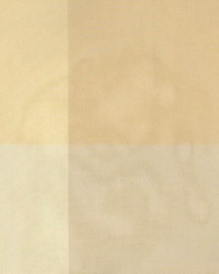 Tompkins Amber by  Kasmir 