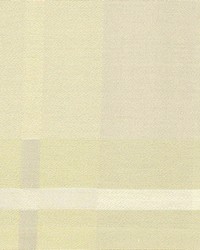 Torch Ivory by  Kasmir 