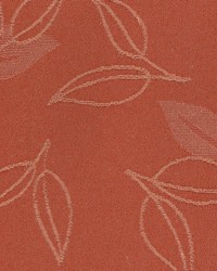 Trixie Sienna by  Kasmir 