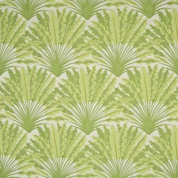 Kasmir Tropicana IO Lime in Surfside Green Multipurpose High  Blend Fire Rated Fabric Leaves and Trees  Outdoor Textures and Patterns  Fabric