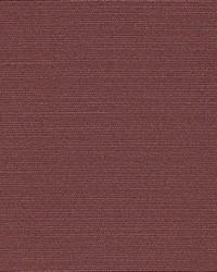 Tudor Auburn by  Kasmir 