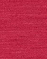 Tudor Geranium by  Kasmir 