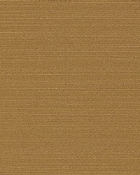 Tudor Nutmeg by  Kasmir 