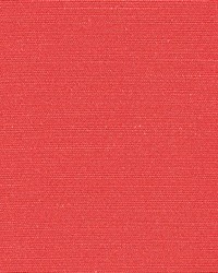 Tudor Radish by  Kasmir 