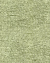 Tunisia Celery by  Kasmir 