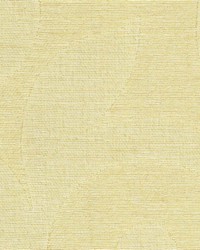 Tunisia Gold by  Kasmir 