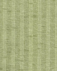 Turnstone Celery by  Kasmir 