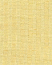 Turnstone Gold by  Kasmir 