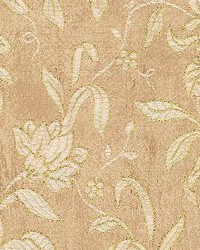 Vista Chablis by  Kasmir 