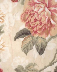 Waites Multi by  Kasmir 