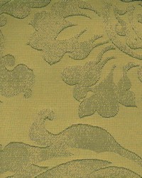 Walberg Caramel by  Kasmir 