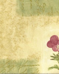 Walston Sage by  Kasmir 