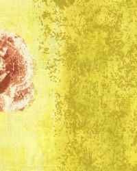 Walston Spice by  Kasmir 