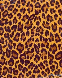 Wardlaw Tobacco by  Kasmir 