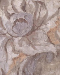 Warren Smoke by  Kasmir 