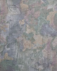 Wayside Kiwi by  Kasmir 