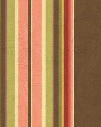 Weiss Cocoa by  Kasmir 