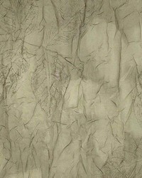 Wellesley Moss by  Kasmir 