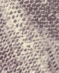 Westdale Sterling by  Kasmir 