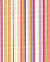 Williams Coral by  Kasmir 