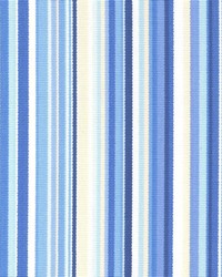 Williams Surf by  Kasmir 