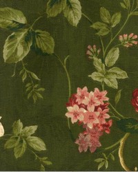 Winnetka Moss by  Kasmir 