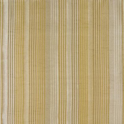 Kasmir Winslet Soft Gold in Promenade Multipurpose Polyester Wide Striped   Fabric