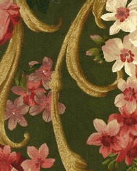 Winsome Moss by  Kasmir 