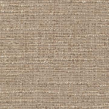 Kasmir Zenith Taupe in Nuance Brown Multipurpose Cotton  Blend Solid Beige   Fabric